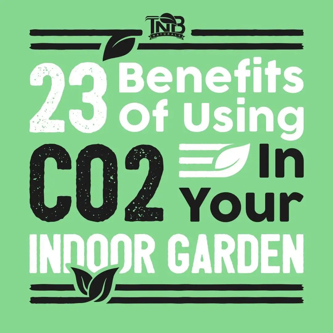 23 Benefits Of Using CO2 In Your Indoor Garden.