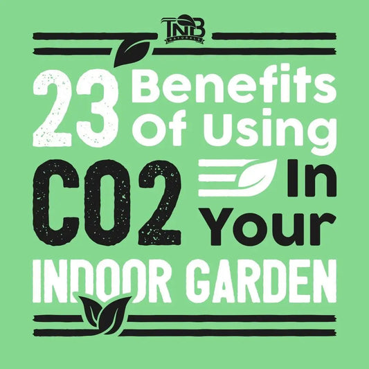 23 Benefits Of Using CO2 In Your Indoor Garden.