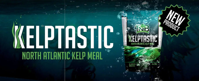 🌿 Unlock the Power of the Ocean with Kelptastic Kelp Meal