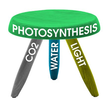 Load image into Gallery viewer, Diagram of photosynthesis process showing CO2, water, and light as essential components for plant growth