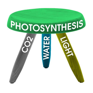 Diagram of photosynthesis process showing CO2, water, and light as essential components for plant growth