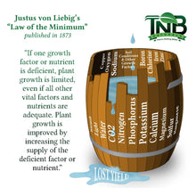 Load image into Gallery viewer, Diagram illustrating Liebig&#39;s Law of the Minimum with a wooden barrel showing essential nutrients and growth factors
