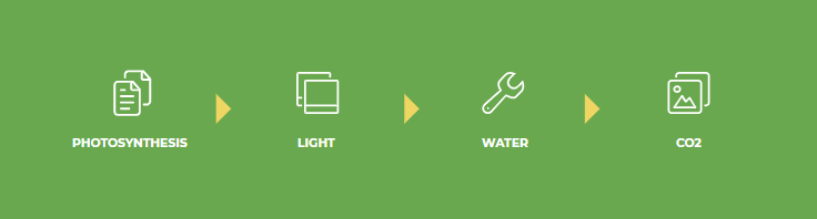Growers Guide TNB Naturals CO2 Monitor with LCD display and thermo hygrometer for measuring CO2, temperature, and humidity levels