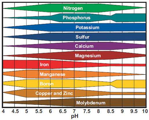 pH nutrient availability chart for plants showing levels of Nitrogen, Phosphorus, Potassium, Sulfur, Calcium, Magnesium, Iron, Manganese, Boron, Copper, Zinc, and Molybdenum from pH 4 to 10